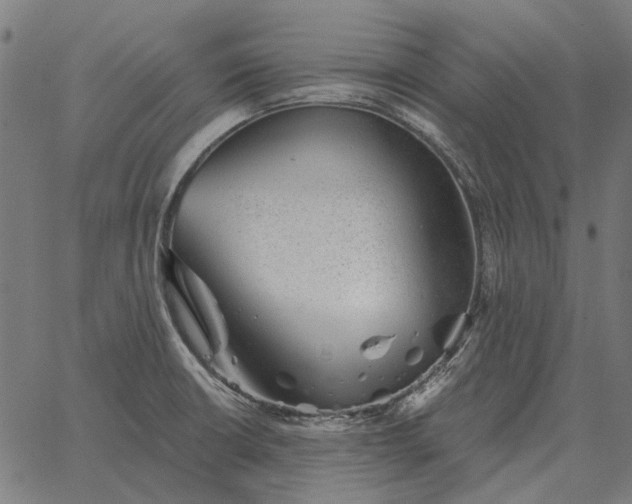 X0000065261426200603031817