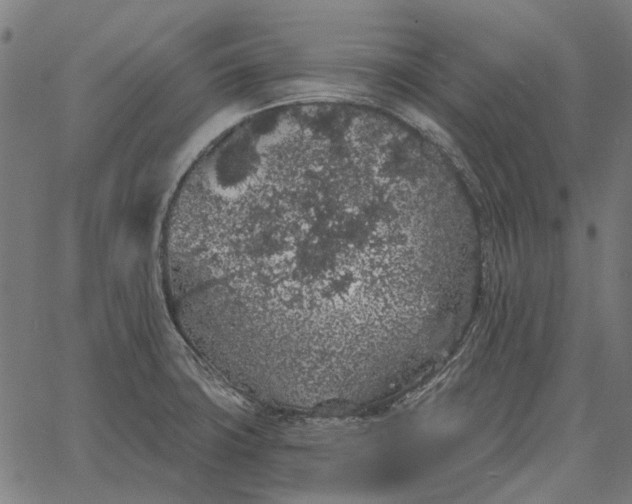 X0000065261427200603031817