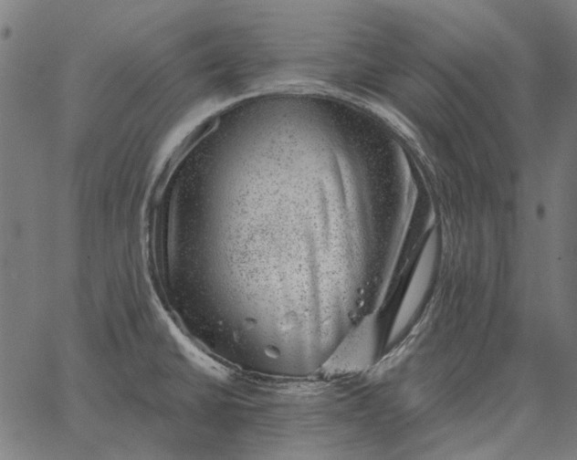 X0000065261430200603031817