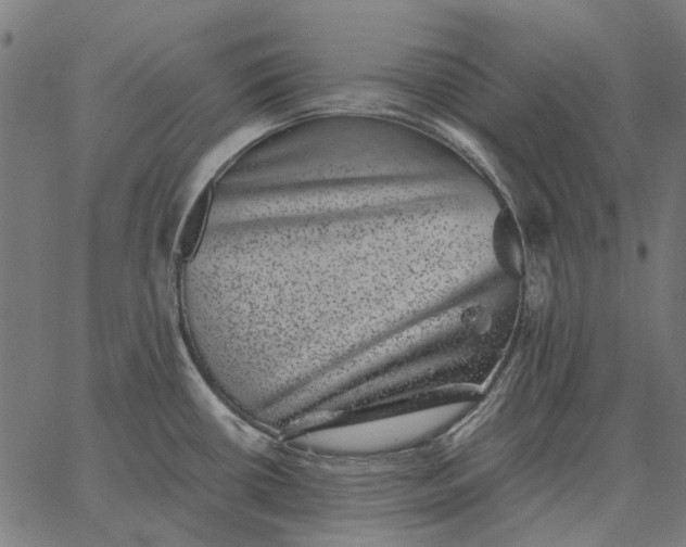 X0000065261434200603031817