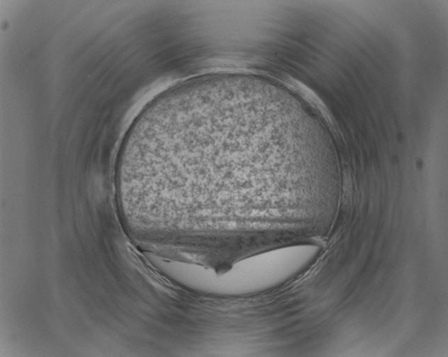 X0000065261435200603031817