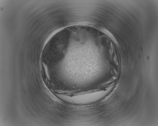 X0000065261436200603031817