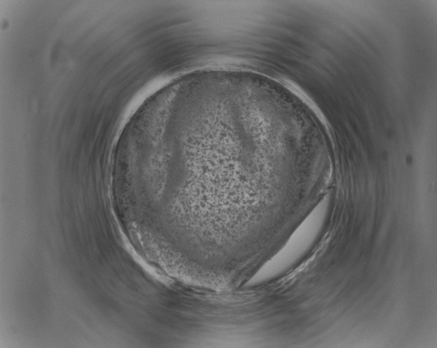 X0000065261437200603031817