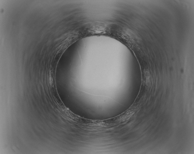 X0000065261442200603031817