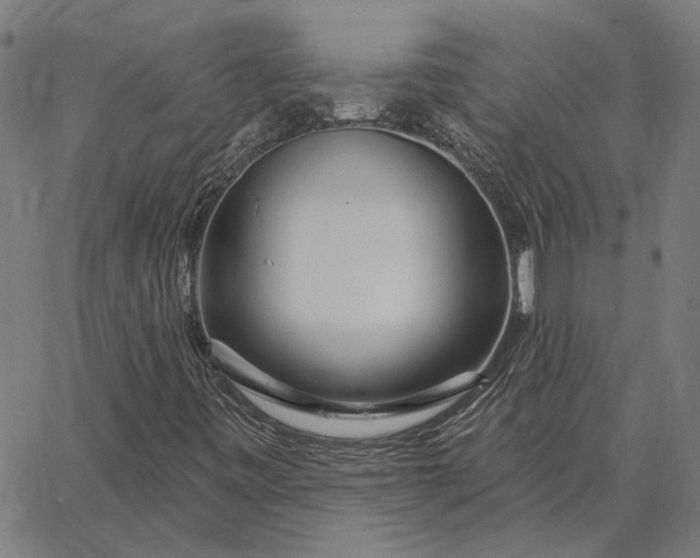 X0000065261443200603031817