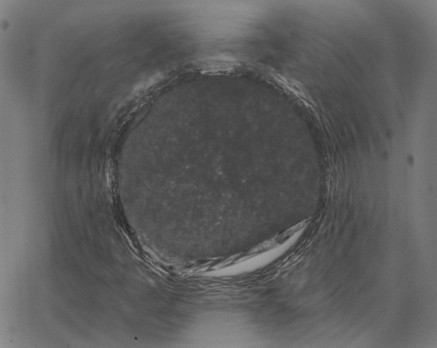 X0000065261445200603031817