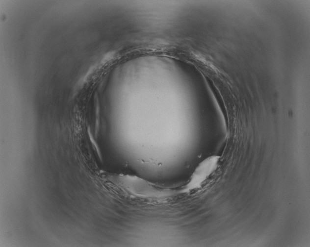 X0000065261447200603031817