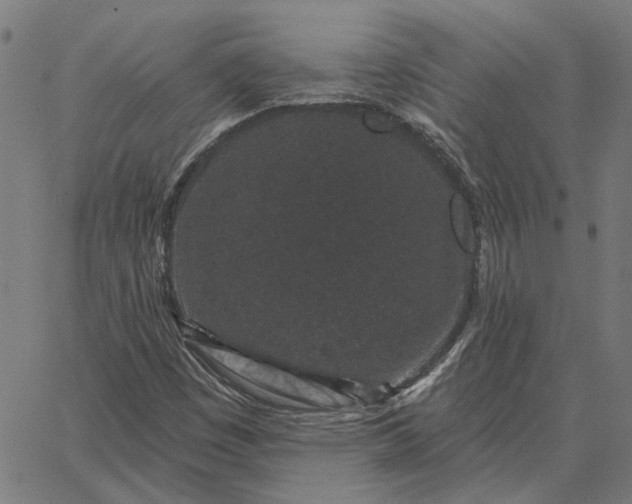 X0000065261449200603031816