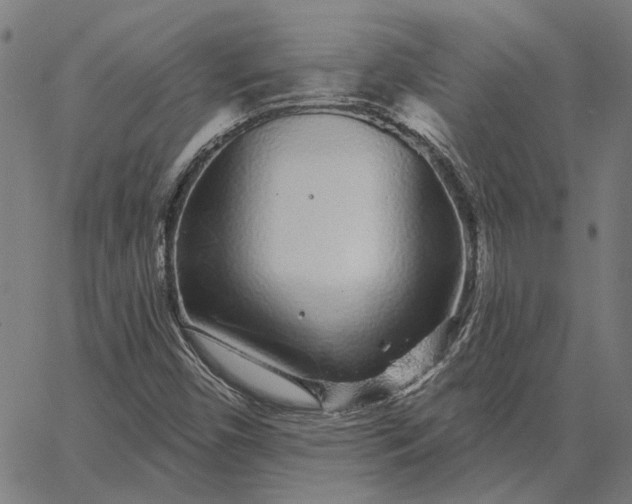 X0000065261450200603031816