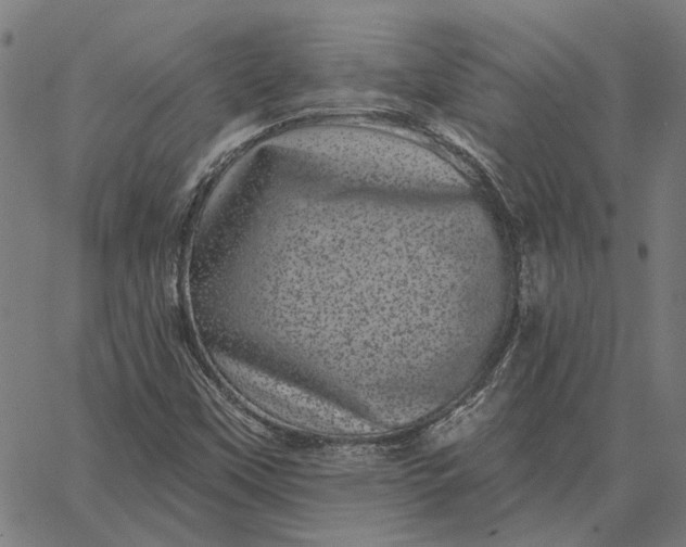 X0000065261451200603031816