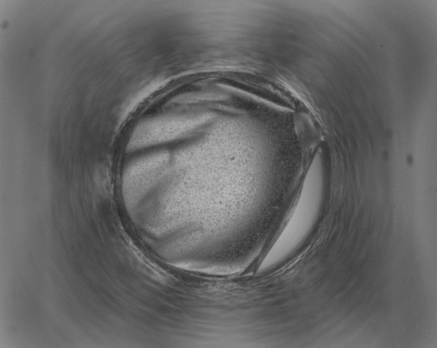 X0000065261452200603031816