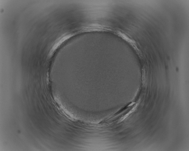 X0000065261453200603031816