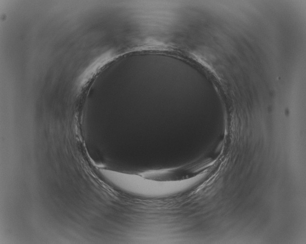 X0000065261455200603031816