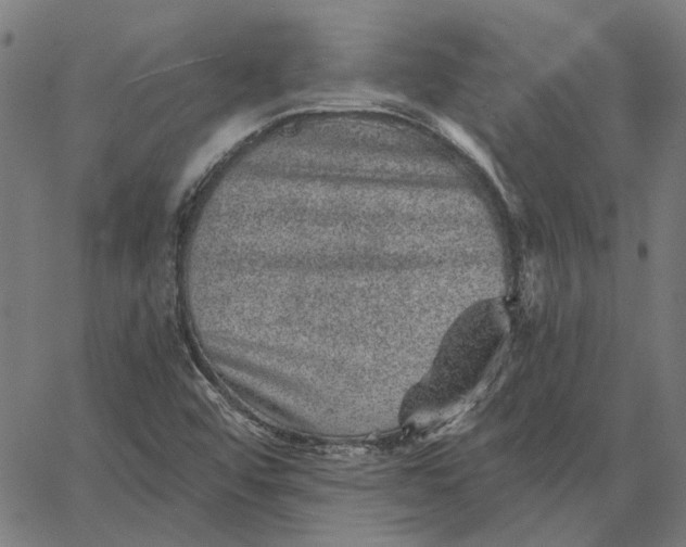 X0000065261456200603031816