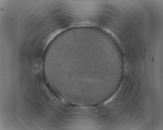 X0000065261457200603031816