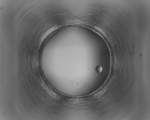 X0000065261458200603031816