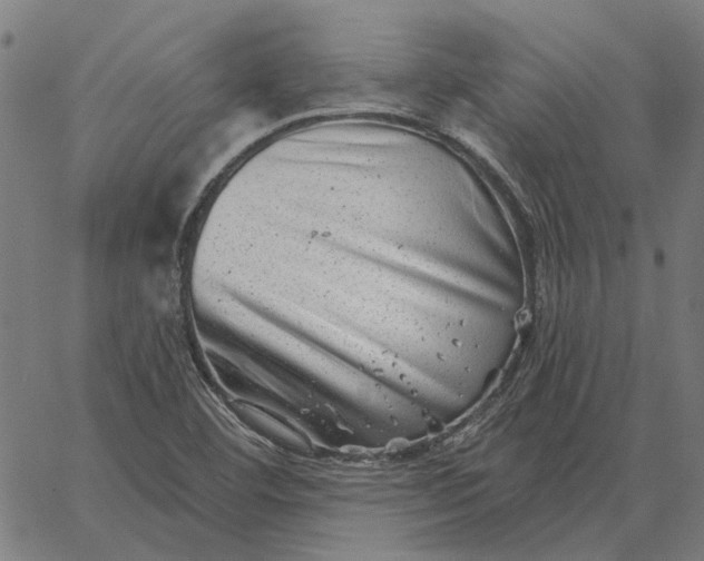 X0000065261460200603031816