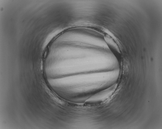 X0000065261461200603031816