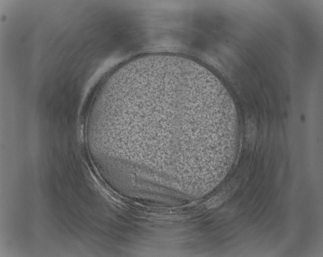 X0000065261462200603031816