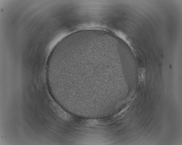 X0000065261463200603031816