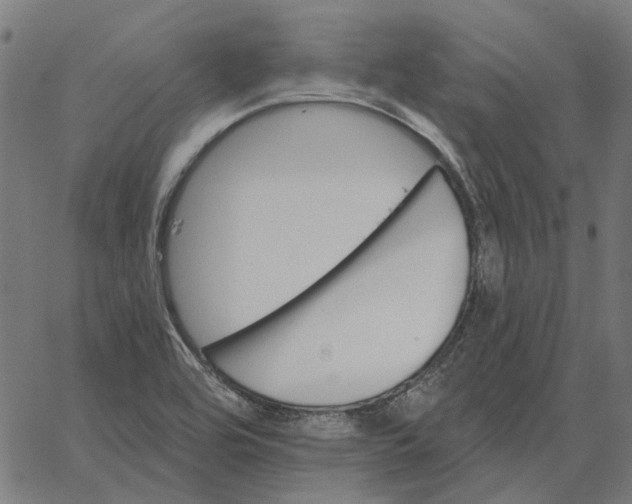 X0000065261464200603031816