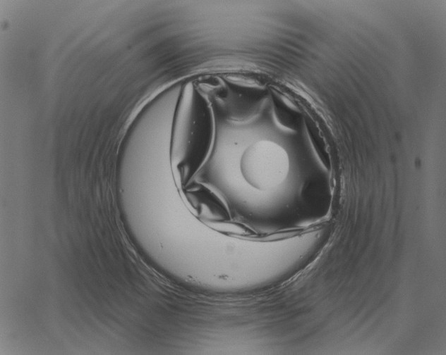 X0000065261465200603031816