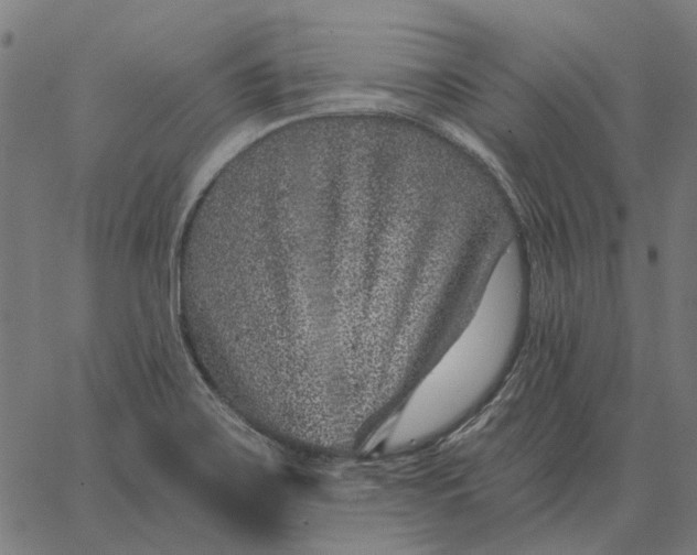 X0000065261467200603031816