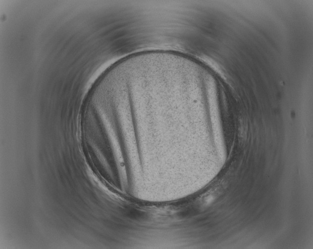 X0000065261468200603031816