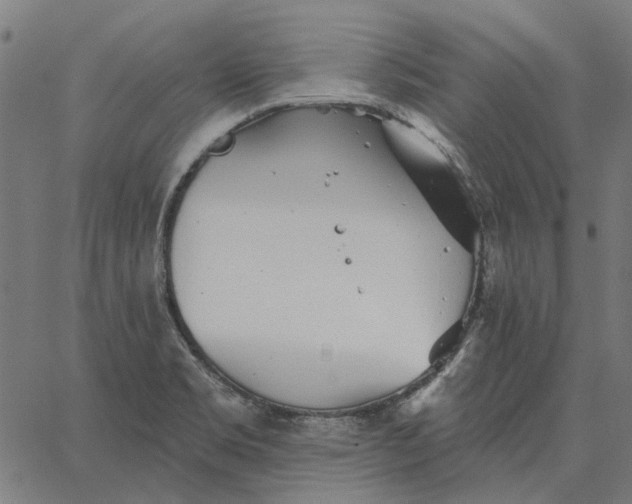 X0000065261469200603031816