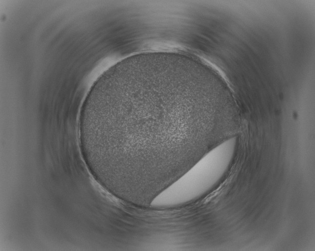 X0000065261471200603031816