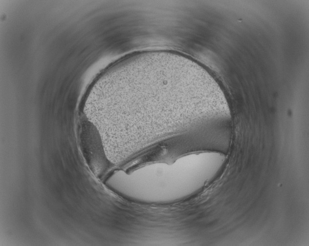 X0000065261472200603031816