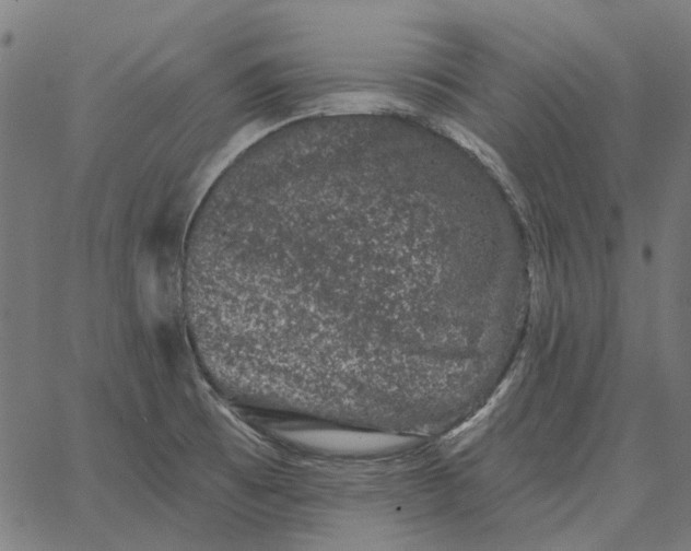 X0000065261473200603031816