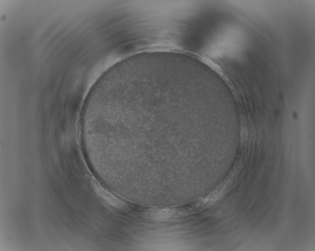 X0000065261474200603031816