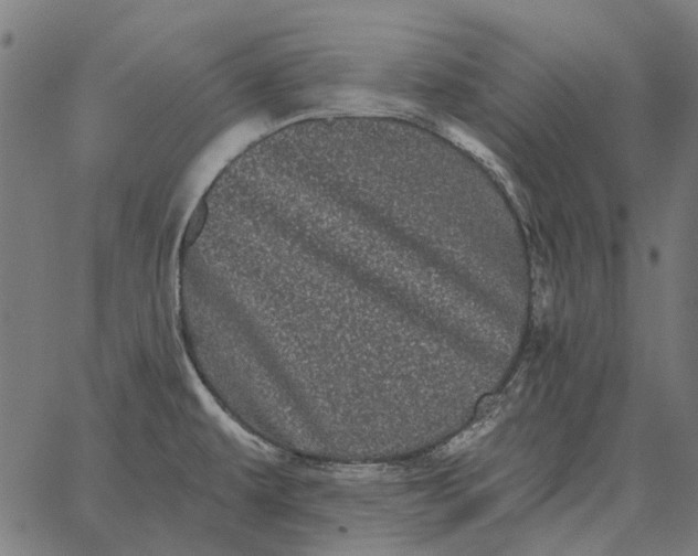 X0000065261479200603031816