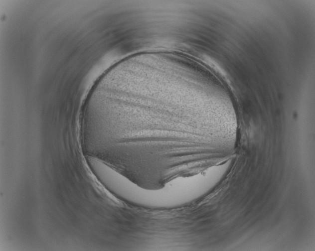 X0000065261480200603031816