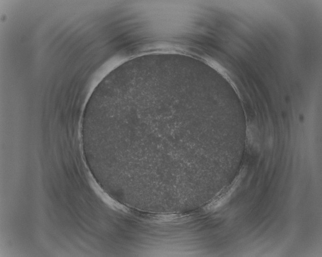 X0000065261482200603031816