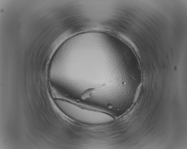 X0000065261483200603031816