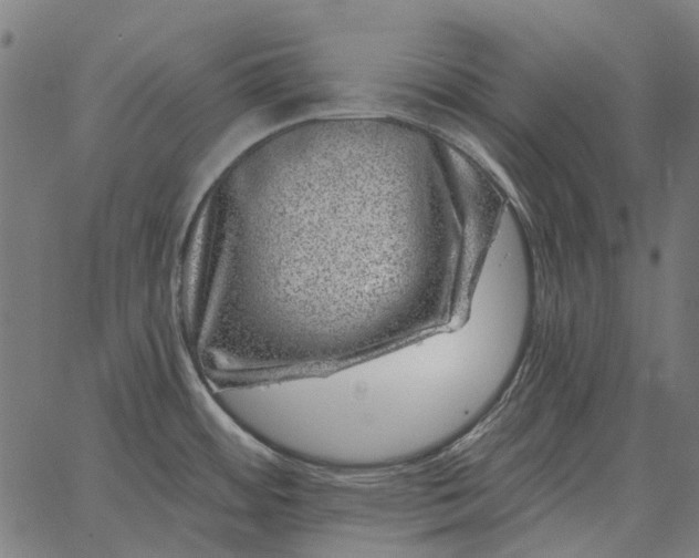 X0000065261484200603031816