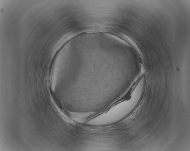 X0000065261485200603031816