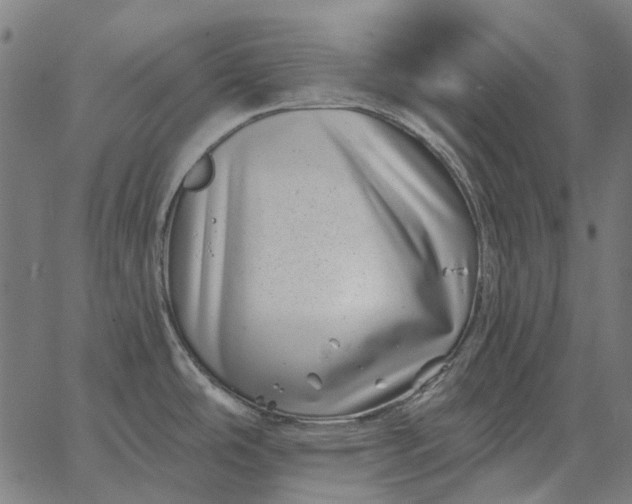 X0000065261486200603031816