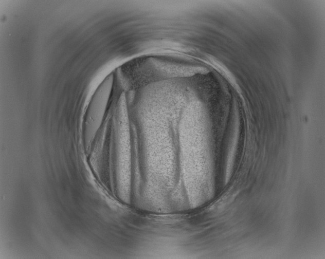 X0000065261488200603031816