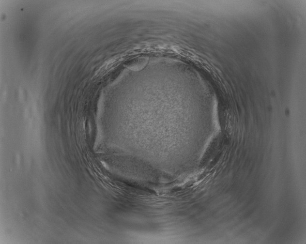 X0000065261489200603031815