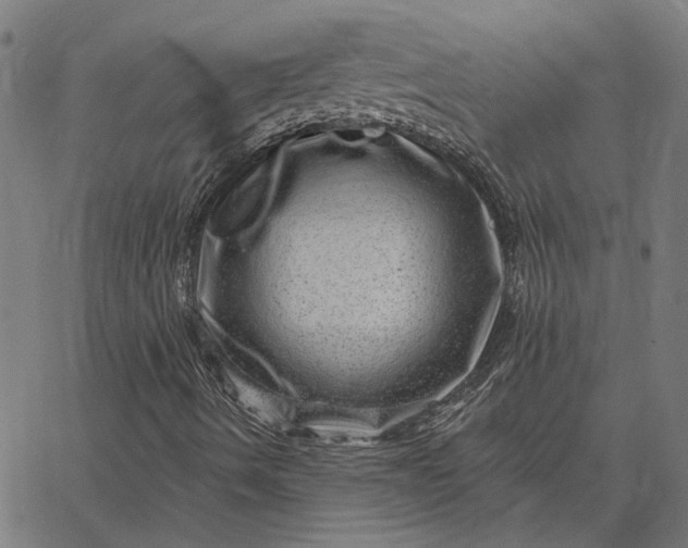 X0000065261490200603031815