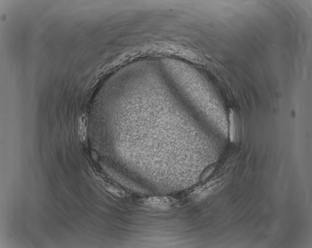 X0000065261491200603031815