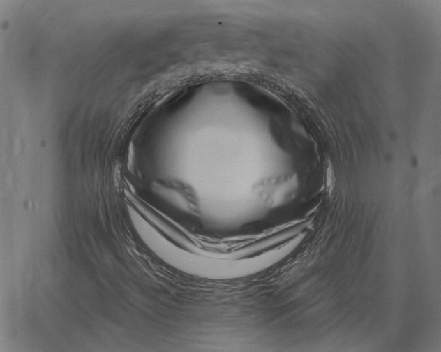 X0000065261492200603031815