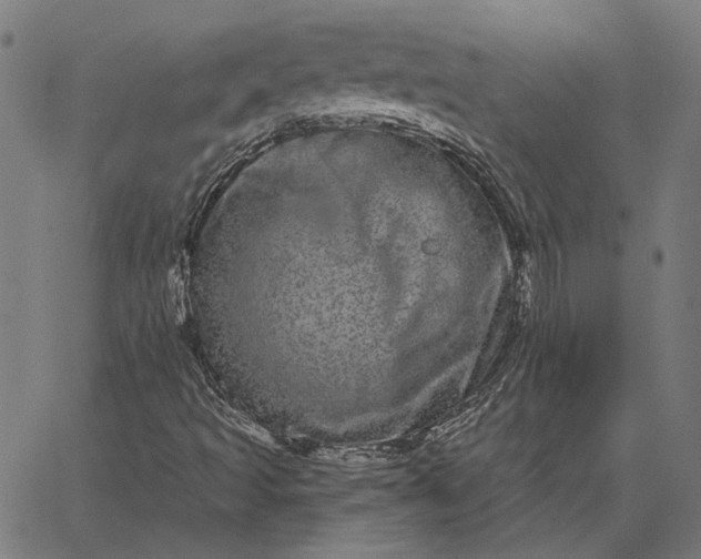 X0000065261493200603031815