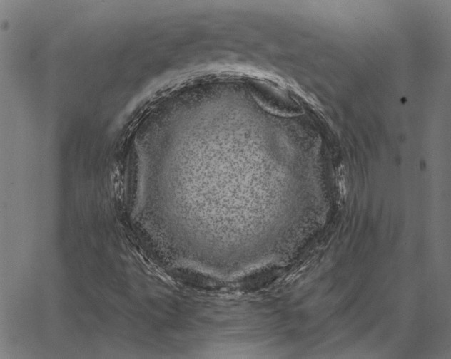 X0000065261495200603031815