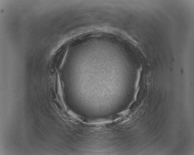 X0000065261496200603031815