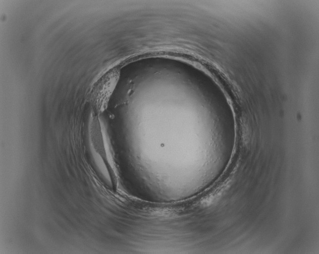 X0000065261497200603031815