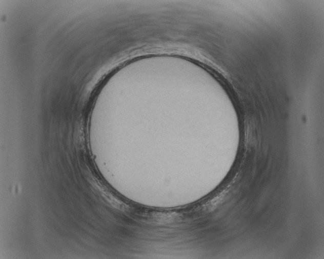 X0000065261498200603031815